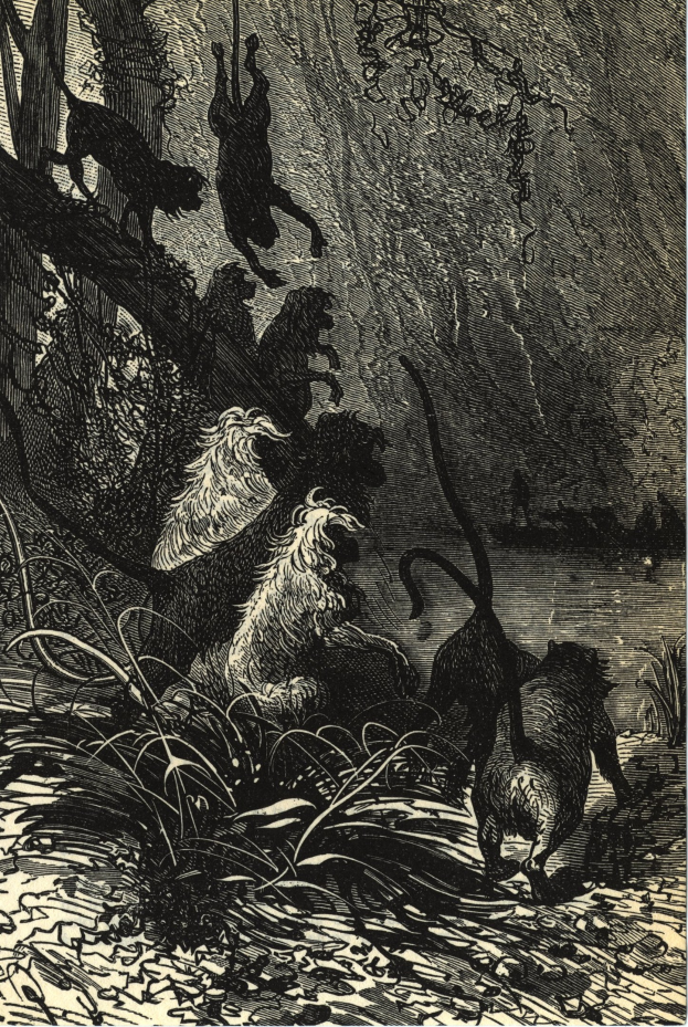 Schwarze und weiße Illustration einer Gruppe von Löwen in einer Dschungelumgebung mit üppigen Pflanzen und Bäumen, mit dem Text 'Der König der Löwen' unten.