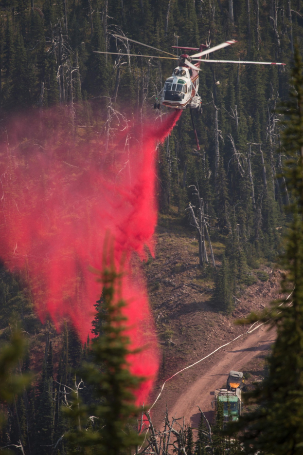 Ein Hubschrauber lässt Wasser auf einen Waldbrand fallen, während ein Fahrzeug am Boden zu sehen ist, mit Bäumen im Hintergrund.