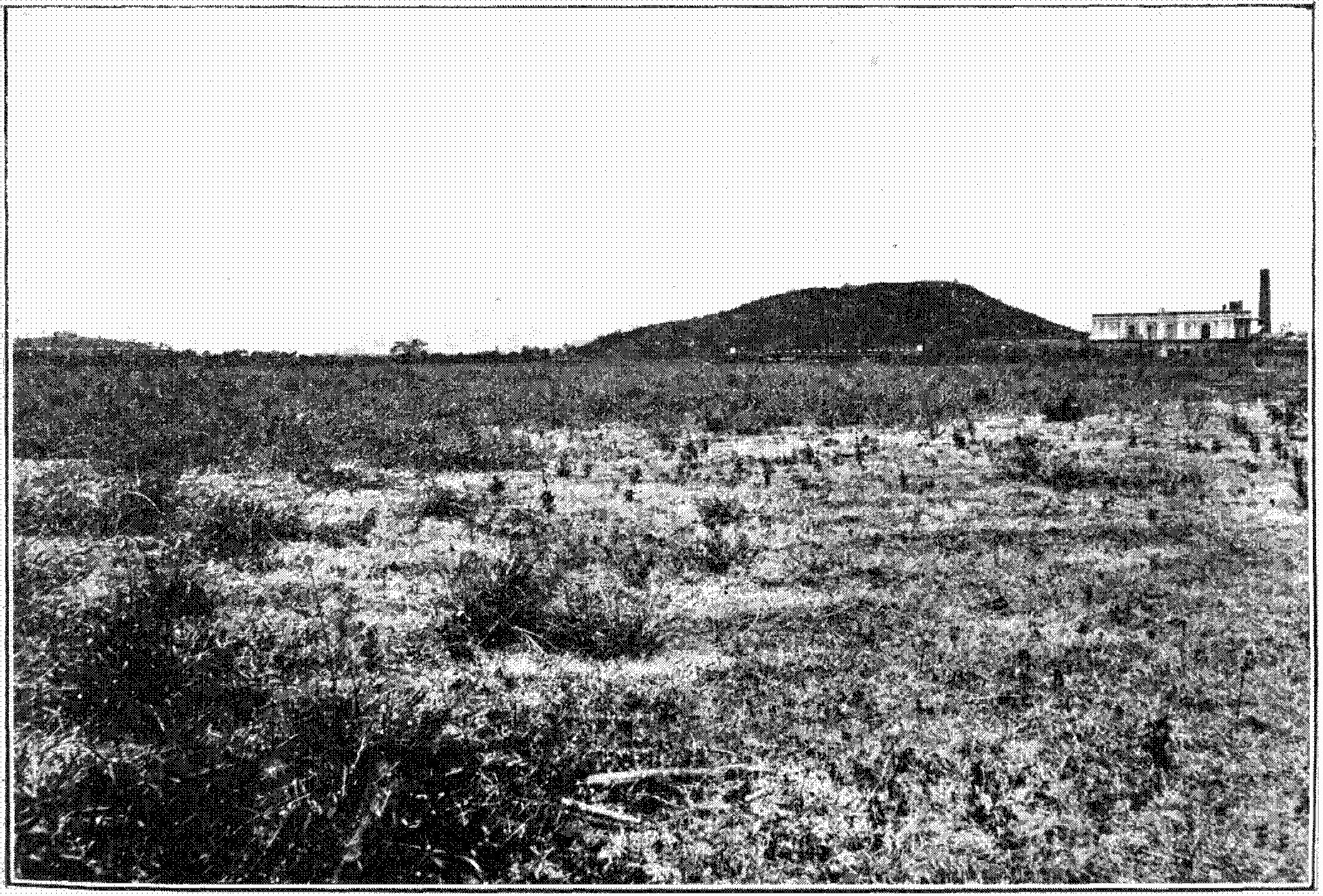 Schwarzes und weißes Foto eines Feldes mit einem Hügel im Hintergrund, einem Gebäude auf der rechten Seite und einem Himmel oben, mit Text unten, der "New York State Penitentiary" lautet.