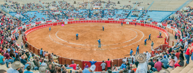 Eine große Menge schaut einem Stierkampf in einer Arena zu, wobei einige stehen, sitzen oder Gegenstände halten und eine Person mit Hut unten zu sehen ist.