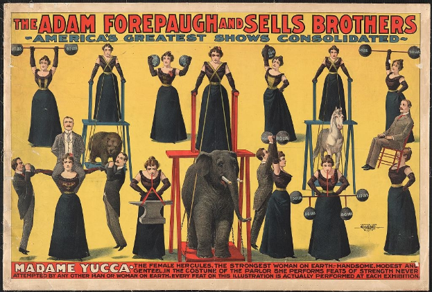 Plakat für Adam Forepaugh und Sells Brothers' America's Greatest Shows Consolidated mit Performern auf Hockern und einem Elefanten in der Mitte sowie Werbetext.