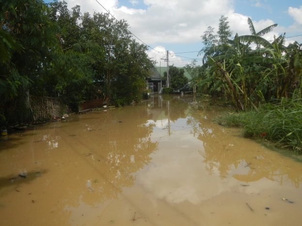Überschwemmte ländliche Straße mit Wasser auf der Straße, umgeben von Pflanzen und Bäumen, ein geparktes Auto auf der rechten Seite und beschädigte Häuser, Pfähle und Drähte im Hintergrund unter einem bewölkten Himmel.