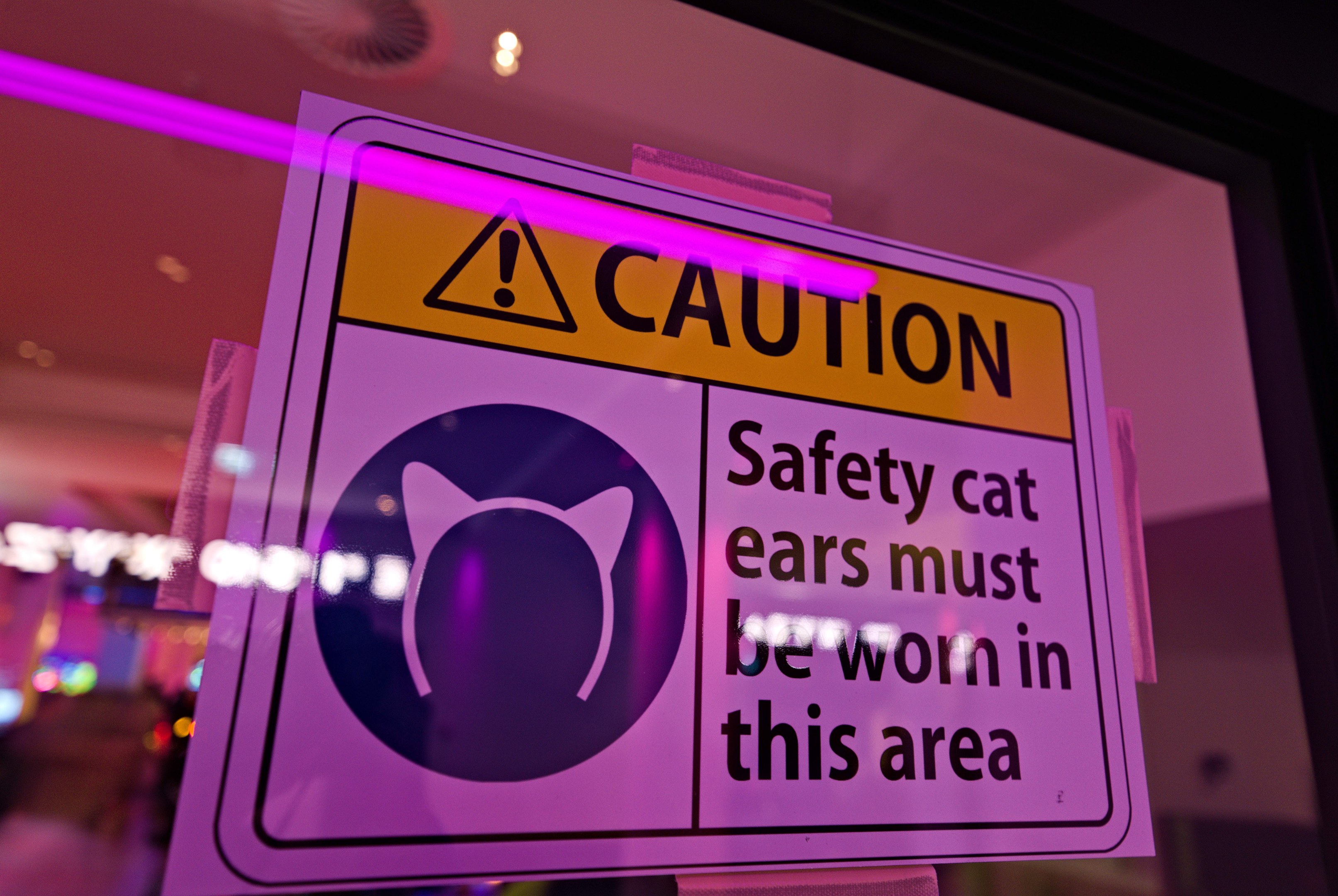 Hellgelbes Warnschild in einem Ladengesch├Ąftfenster mit der Aufschrift "Achtung: Sicherheits-Katzenohren müssen in diesem Bereich getragen werden." vor einem unscharfen Hintergrund.