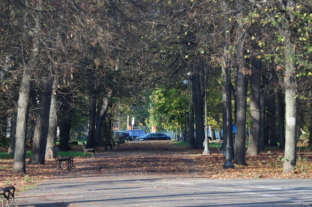 Ein Park mit einer von B├Ąumen und B├Ąnken ges├Ąumten Stra├če, trockene Bl├Ątter auf dem Boden und im Hintergrund Fahrzeuge, Masten und ein Zaun.