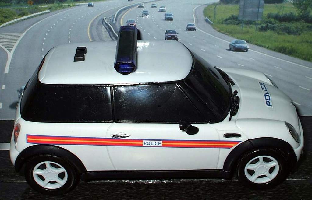 Ein weißer Polizeiwagen steht im Vordergrund mit vielen Autos, die sich hinter ihm auf der Straße bewegen, umgeben von Gras und Bäumen auf beiden Seiten.