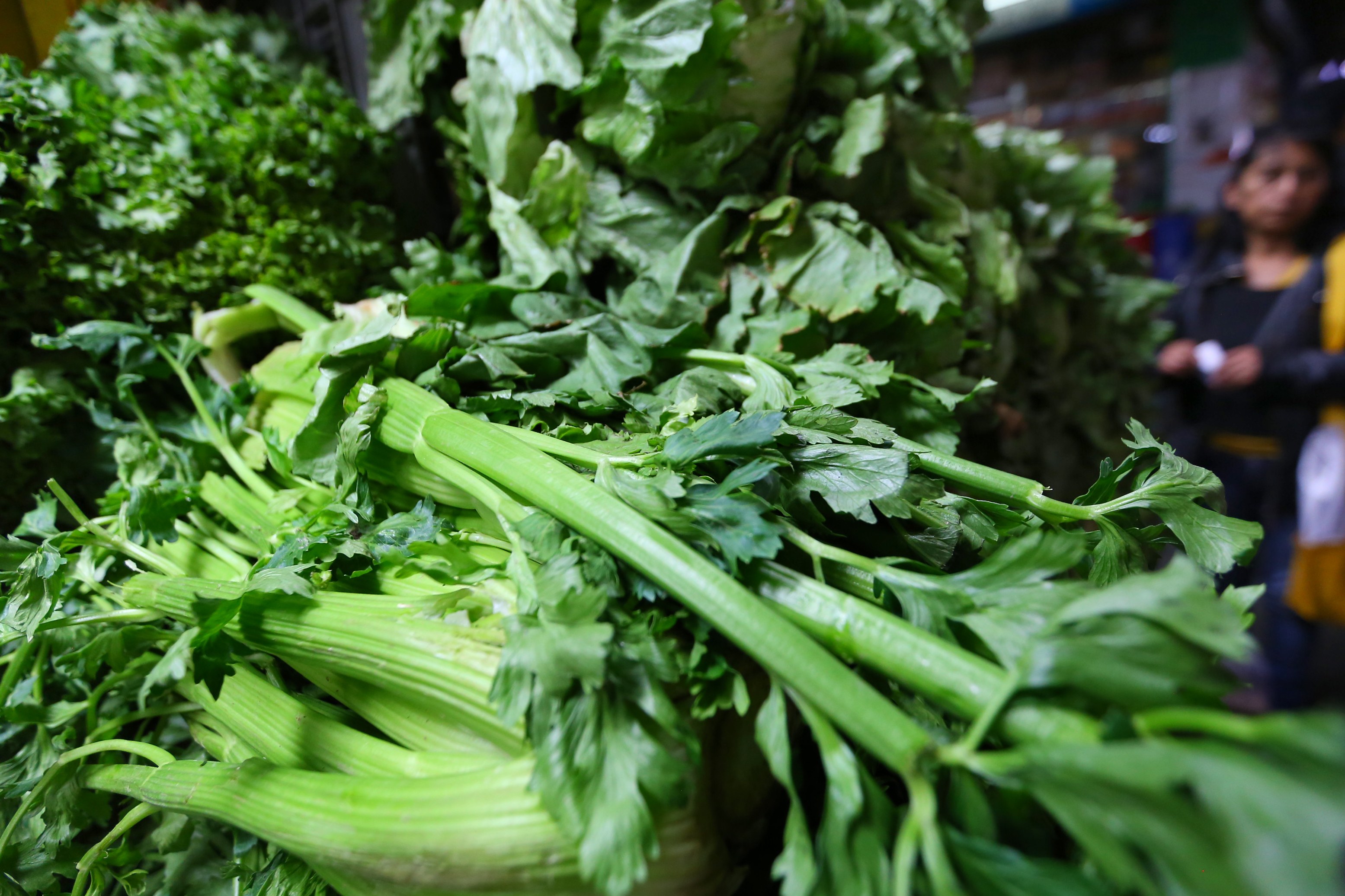 Ein Bund Sellerie auf einem Tisch mit zwei Personen rechts daneben, Hintergrund leicht unscharf.