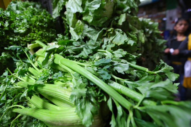 Ein Bund Sellerie auf einem Tisch mit zwei Personen rechts daneben, Hintergrund leicht unscharf.