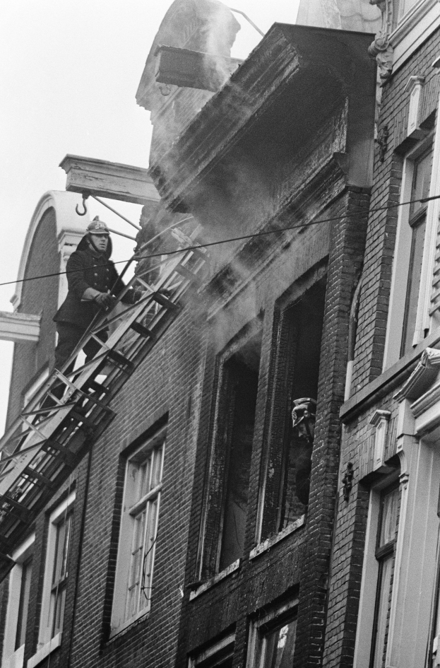 FW-BO: Feuerwehrleute retten hilfloses Kätzchen 'Loki' vom Dach eines Mehrfamilienhauses
