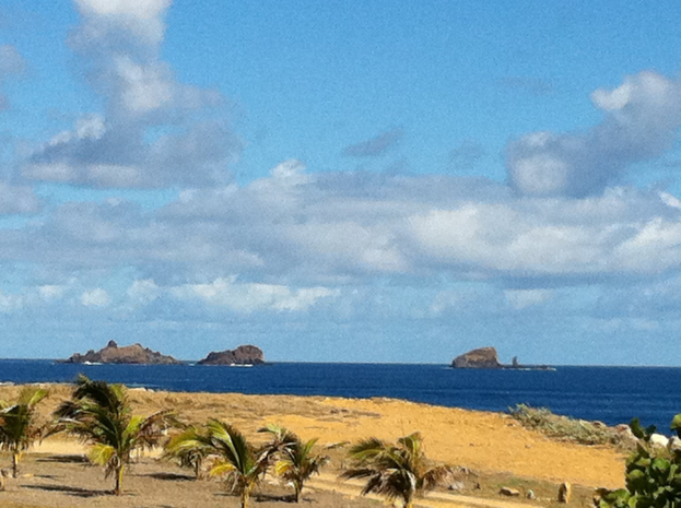 Eine Strandszene mit Palmen, grünem Gras und einem Gewässer, vor einem blauen und weißen Himmel mit fernen Bergen auf Lanzarote.